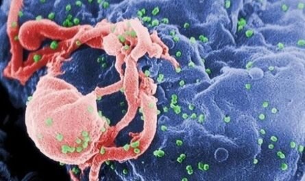 Найдено лекарство от ВИЧ-инфекции