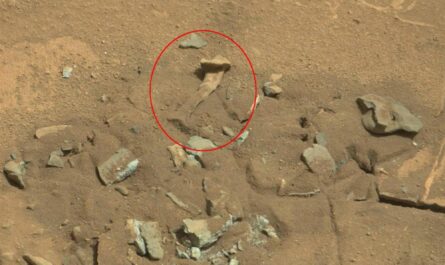 Раскрыт секрет "человеческих костей" на марсианском снимке NASA