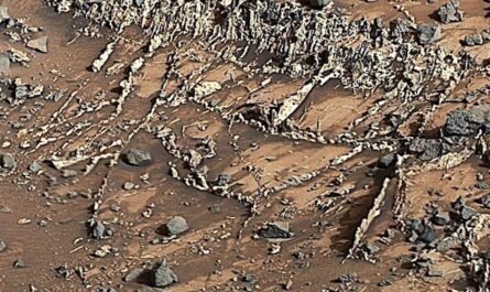 Марсоход NASA Curiosity делится новыми открытиями