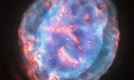 "Хаббл" показал "Туманность Маленькую Жемчужину" (NGC 6818)