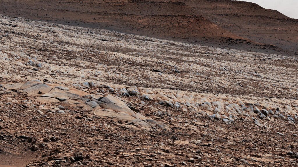 Марсианский метеорит Тиссинт перенасыщен органическими соединениями 2