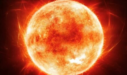 В какой области Млечного Пути сформировалось Солнце?