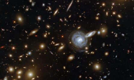 Галактическое скопление ACO S 295