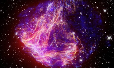 Яркий остаток сверхновой LMC N49