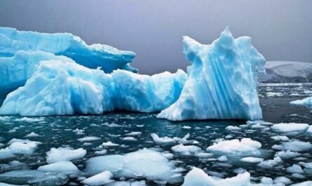 Площадь антарктического морского льда достигла исторического минимума
