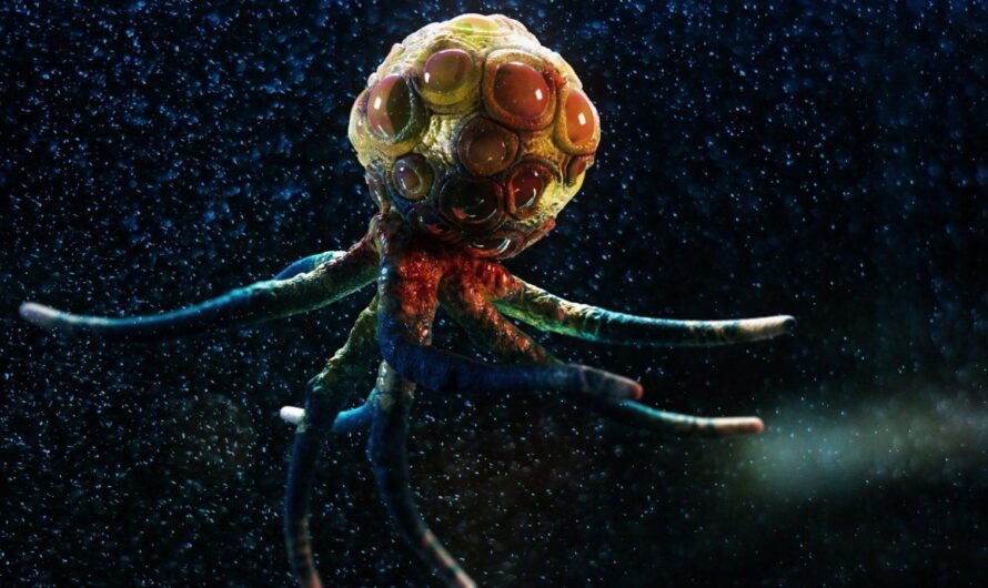 Митио Каку: «Вероятно, инопланетяне похожи на осьминогов»