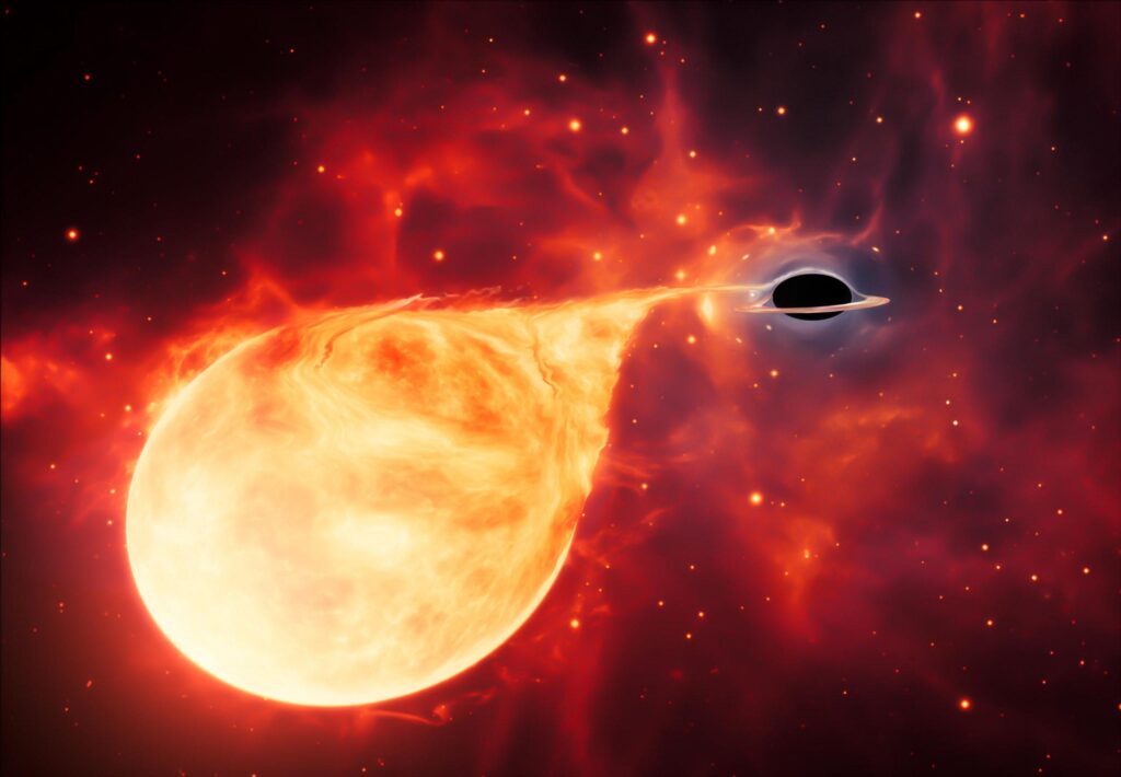 Эта черная дыра "откусывает кусок" от звезды каждые 114 дней