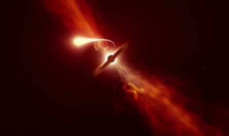 Эндопаразитические черные дыры могут пожирать звезды изнутри, как рак