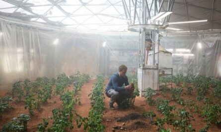 На Марсе можно выращивать злаки и овощи