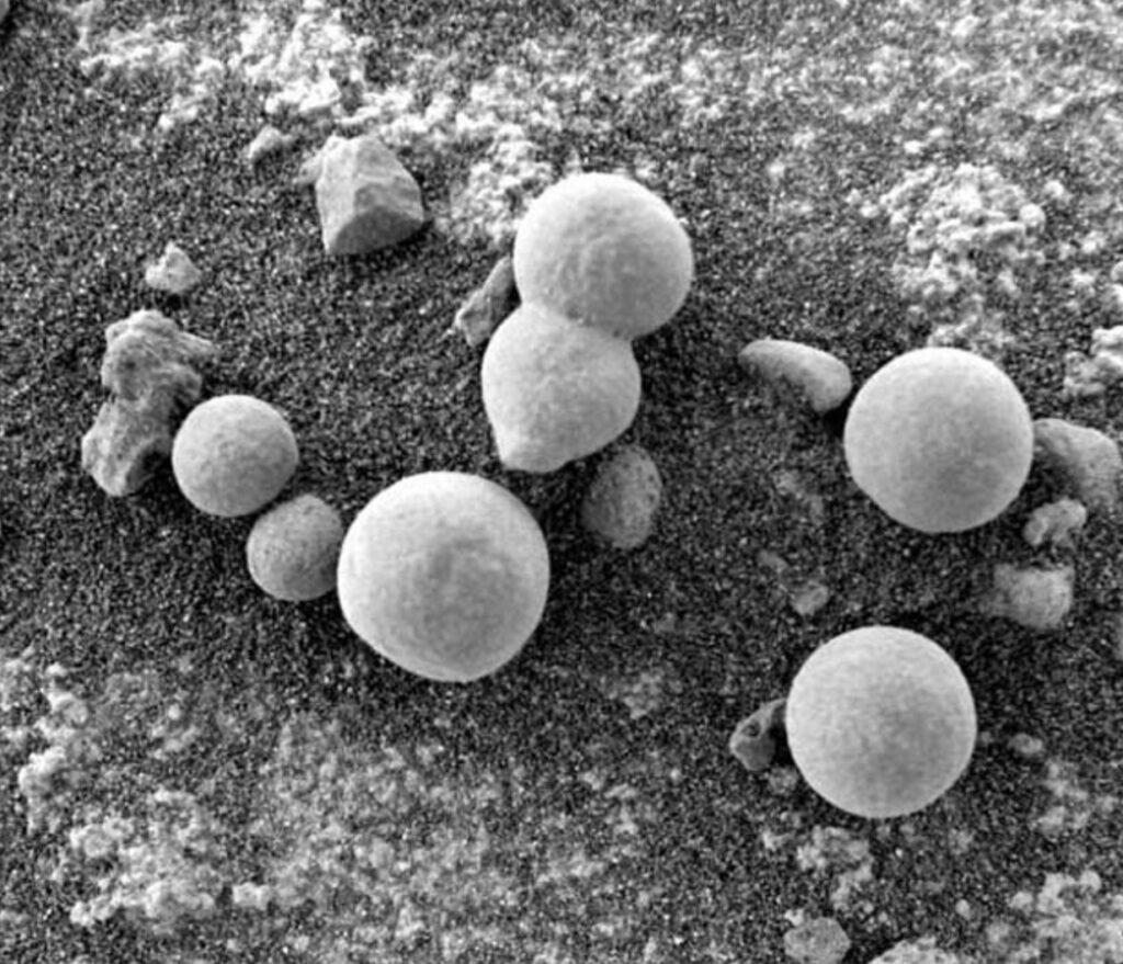 Нет, фотографии NASA не доказывают, что на Марсе растут грибы