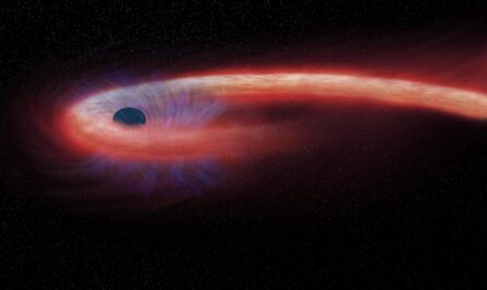 Астрономы наблюдали, как черная дыра превратила звезду в "спагетти"