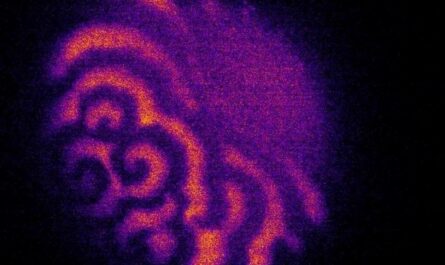 Ученые обнаружили таинственные волны, сопровождающие оплодотворение
