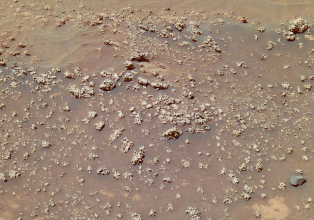 Марсоход NASA Curiosity сфотографировал крошечный минеральный "цветок"