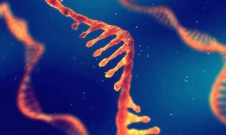 Зарождение жизни на Земле: ученые создали РНК, которая эволюционирует сама по себе
