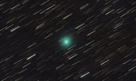 7 августа комета PanSTARRS появится на ночном небе