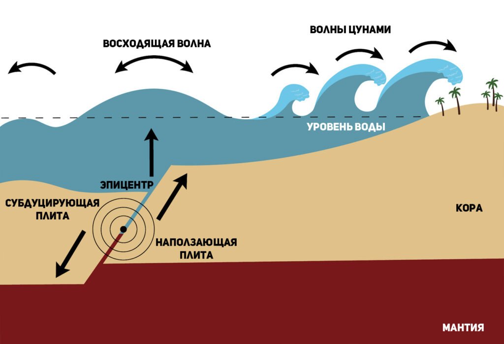 Как возникает цунами?