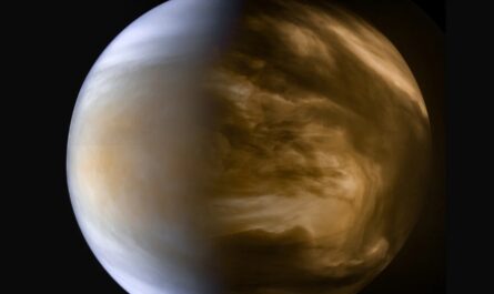 Краткая история современных поисков жизни в атмосфере Венеры