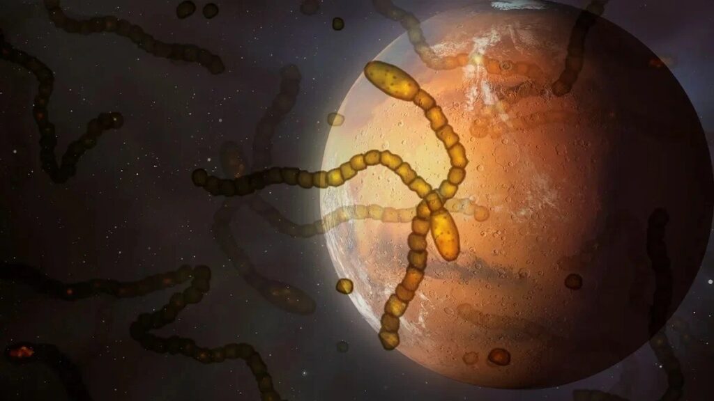 Что будет, если завтра на Марсе найдут микробов?