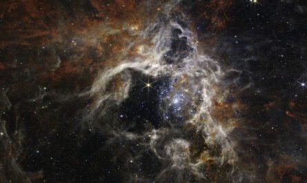 Космический телескоп NASA «Джеймс Уэбб» показал туманность Тарантул
