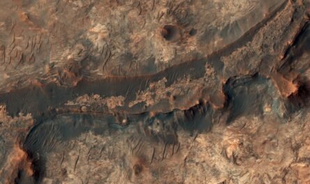 Изучение Марса: русло реки в долине Маврт