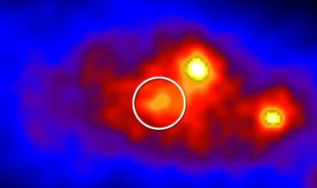 Физики говорят, что внутри звезд может скрываться странная внеземная жизнь