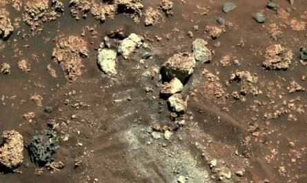 Одна из главных находок марсохода NASA "Спирит"