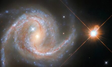 Сейфертовская галактика NGC 5495