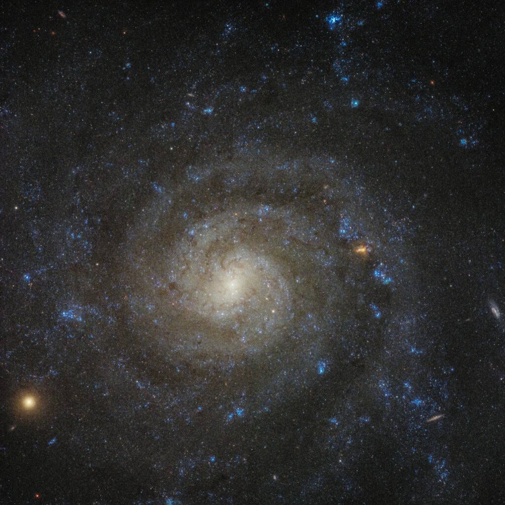 Спиральная галактика IC 5332 "глазами" космического телескопа NASA "Джеймс Уэбб"
