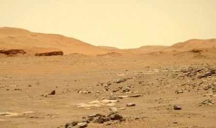 NASA Perseverance: взгляд на марсианские пейзажи (снимки за 27 августа 2021 года)