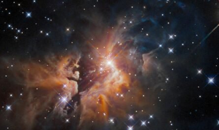 Молодая звезда IRAS 05506+2414