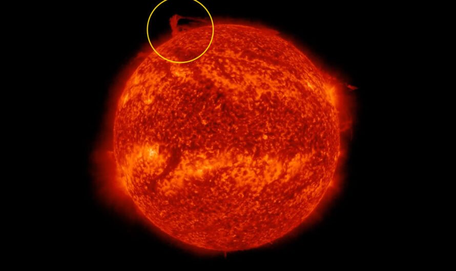 Ученые наблюдали гигантский плазменный вихрь, вращающийся вокруг северного полюса Солнца