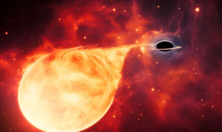 Просто о сложном: черные дыры промежуточной массы