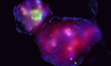 DEM L316 — сверхновые-соседи, вспыхнувшие в Большом Магеллановом Облаке