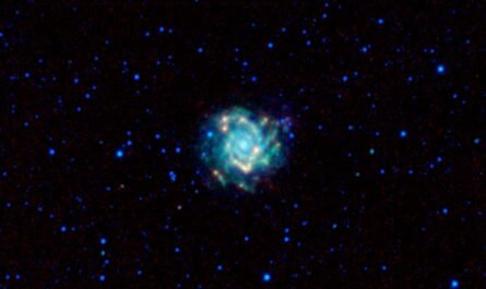 Спиральная галактика M 74 "глазами" NASA WISE 